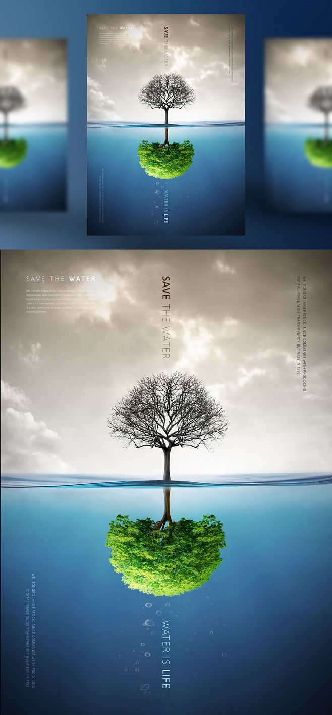 綠色復蘇 喚醒枯樹的希望